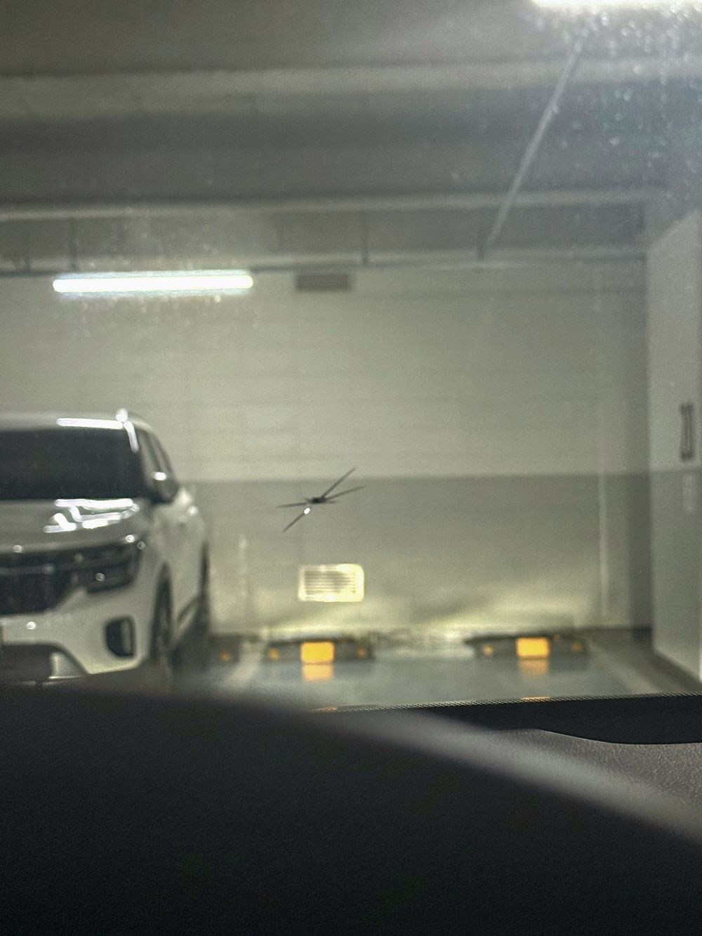 운전석에서 보이는 앞유리 별 모양 돌빵