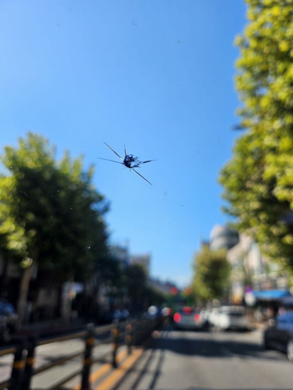 앞유리 별 모양 돌빵 파손